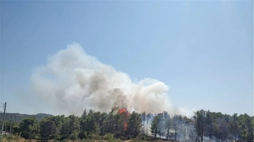 Πυρκαγιά τώρα στην Αρχαία Νεμέα